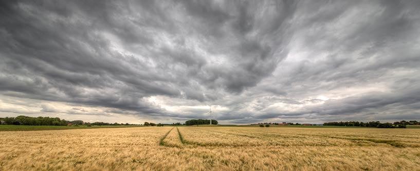 Lessons From the Field