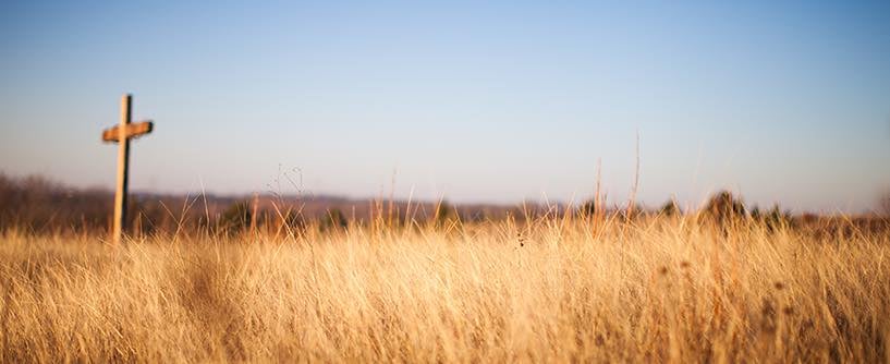 The Authority of Christ