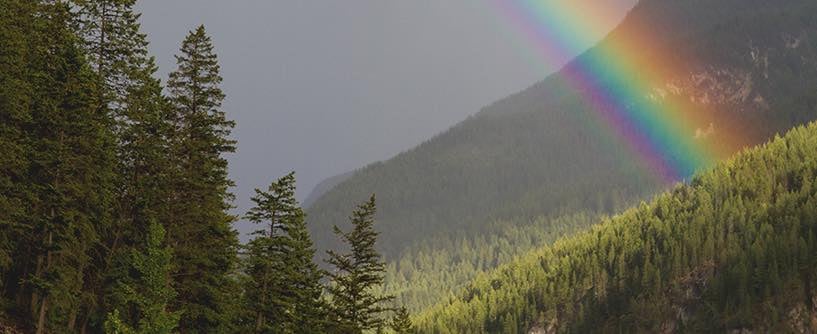 Reflections on a Rainbow