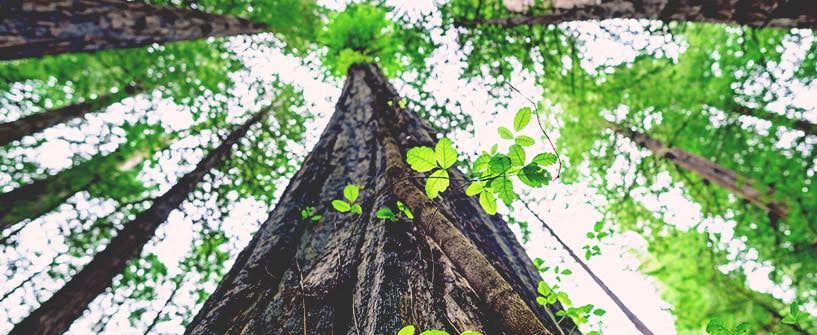 Trials and God's Providence