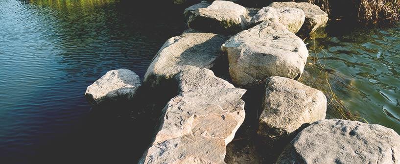Grieving Sin