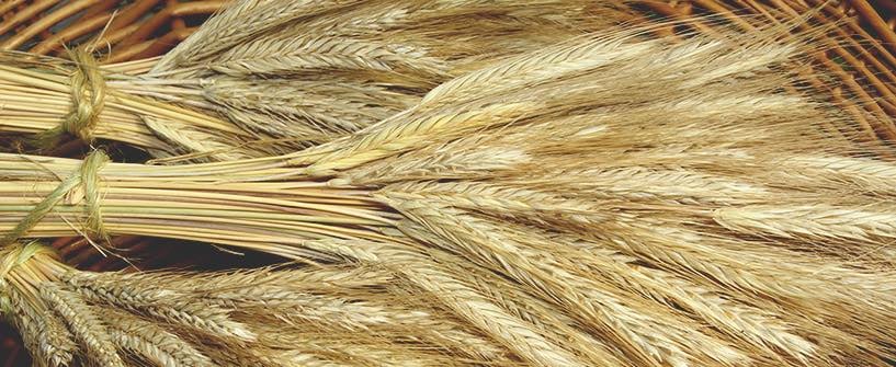 We Will Wait in Prayer Tonight