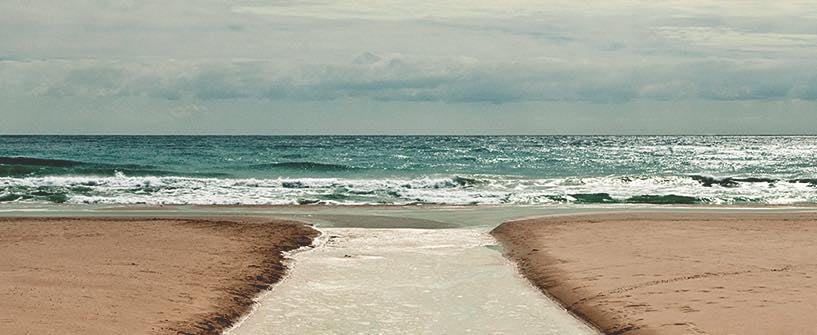 The Purpose of Living