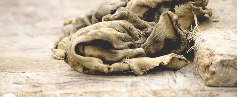 Changeless in a Changing World