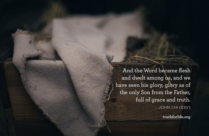 And the Word became flesh and dwelt among us, and we have seen his glory, glory as of the only Son from the Father, full of grace and truth. - John 1:14