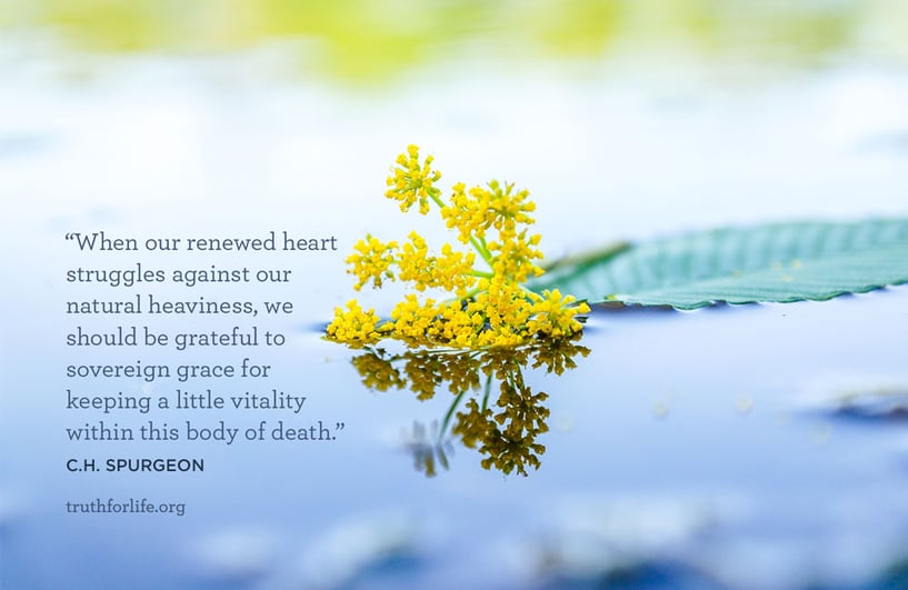 When our renewed heart struggles against our natural heaviness, we should be grateful to sovereign grace for keeping a little vitality within this body of death. - C.H. Spurgeon