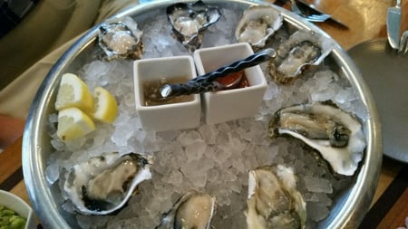 oysters