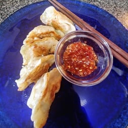 potstickers-1