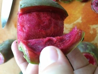 Prickly Pear Flesh