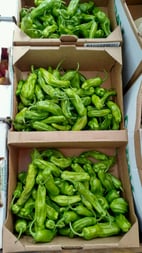 shishitopeppers.jpg