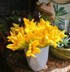 zucchiniblossoms.jpg