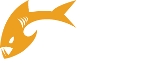 Payara Server Logo