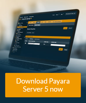 payara Server 5 - Download now