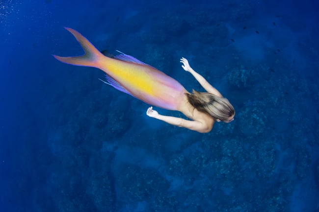 This mermaid and ocean scene was created digitally to create a human mermaid.