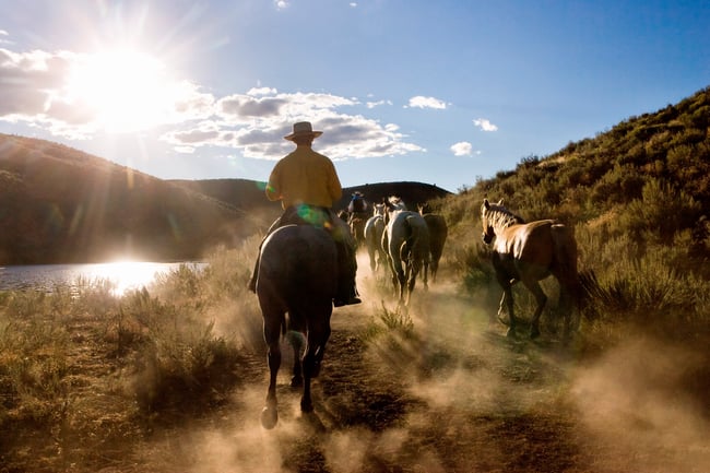 Cowboys with horses, wild west, Oregon, USA