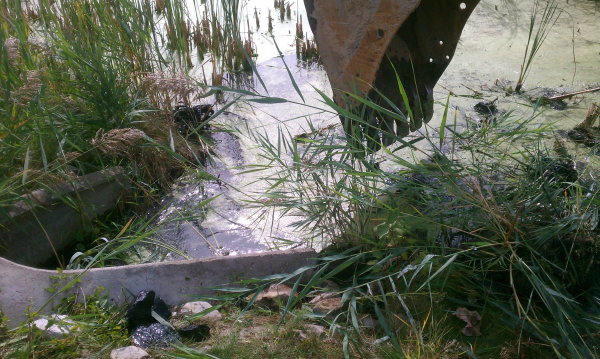 Michigan pond management Dexter, MI