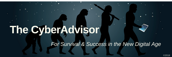 The CyberAdvisor banner.png