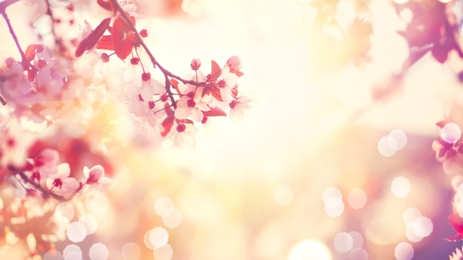 9-awesome-church-websites-launched-this-spring-606463-edited.jpeg
