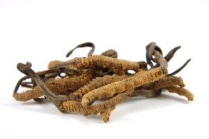 mushroom health benefits mushroom health benefits