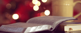 Blog - 24 livros para oferecer este Natal de acordo com os professores da Nova SBE