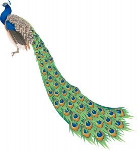 Take Those Beautiful Long-Tail Keywords to the Next Level