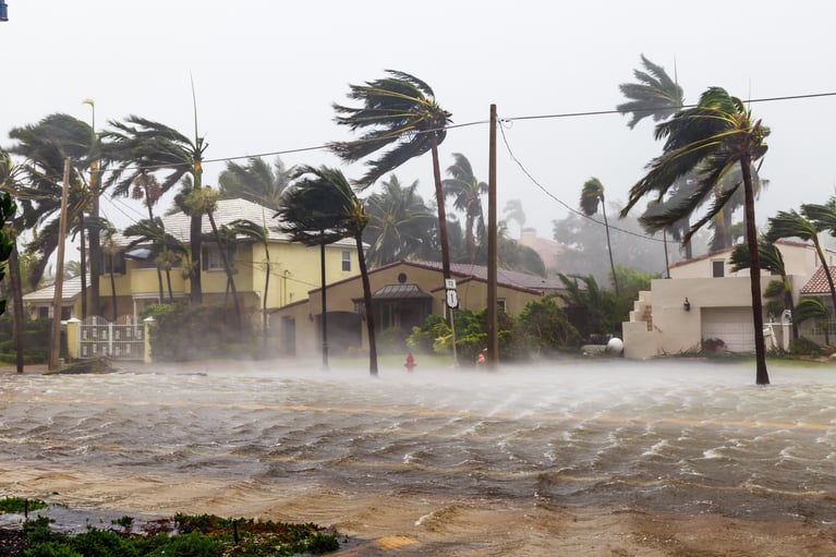 Hurricane Irene : is your business prepared?