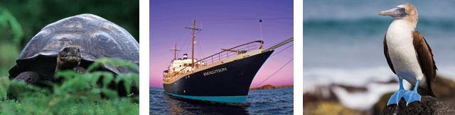 galapagos-3-pictures