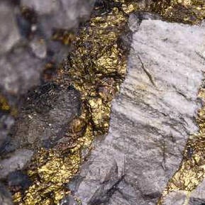 Gold nuggets on a rock surface