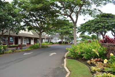 kauai commercial landscaping value engineering
