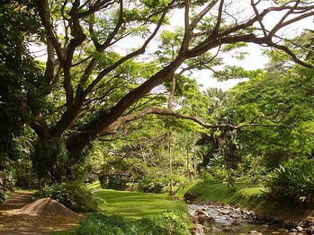 Best botanic gardens in Kauai