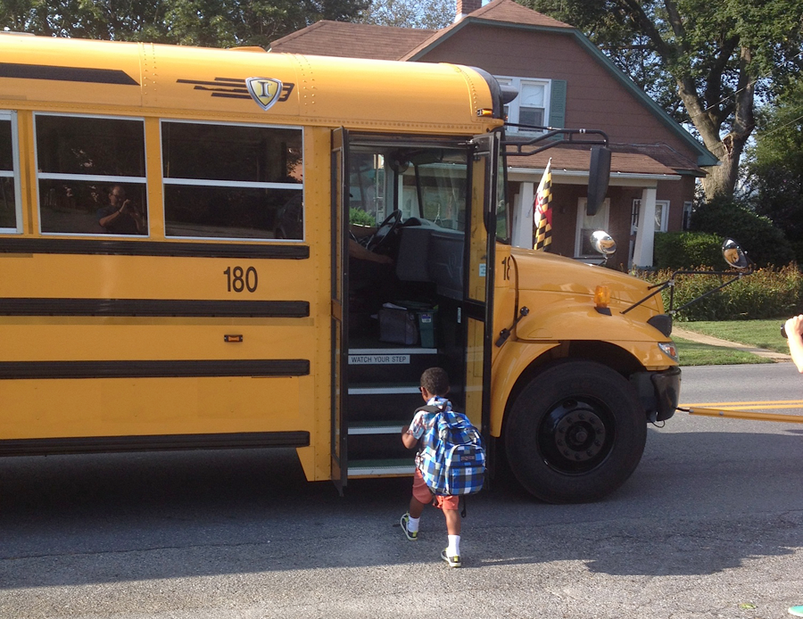 bus