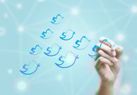 Dominate Twitter dominate-twitter