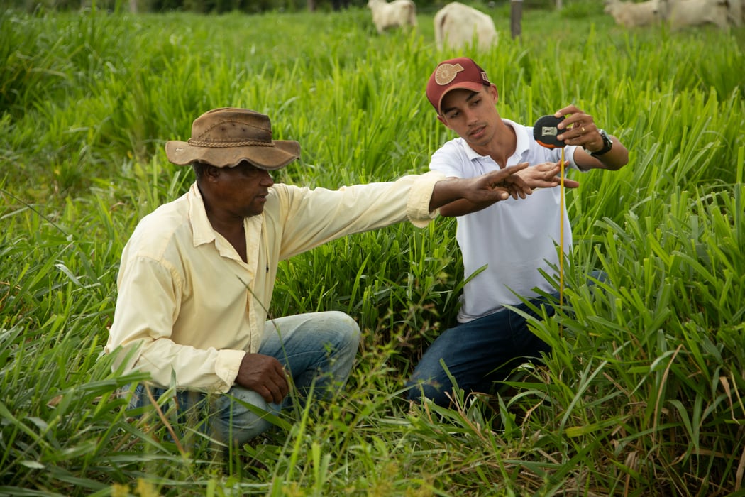 Farmers crouching in a field in the Brazilian Amazon