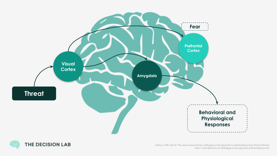Data Viz Templates-1