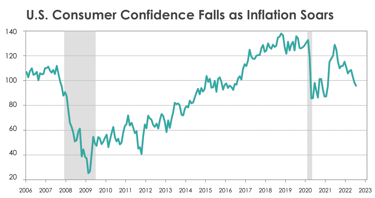 Screen Shot 2022-08-15 at 11.24.00 AM