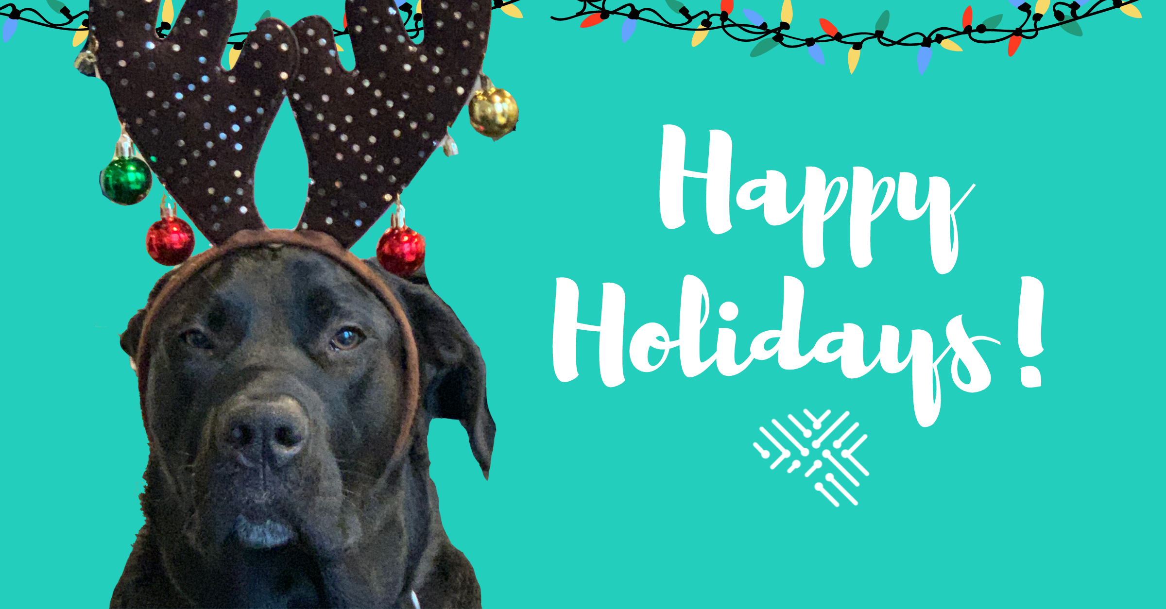 Watson, our great big TDL dog, wearing a a festive antler headband (under duress). Text reads: “Happy holidays!” 