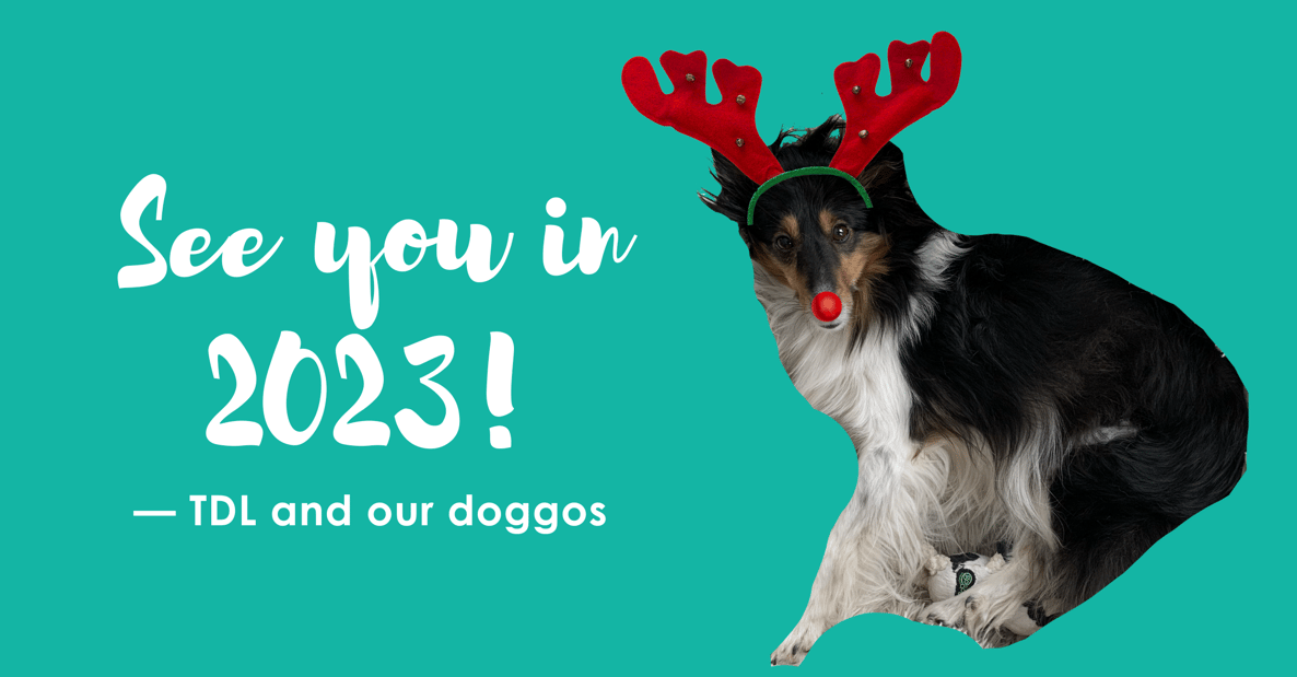A shelty dog on a teal background. Text reads: “See you in 2023! — TDL and our doggos.”