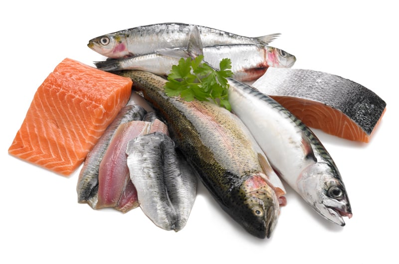 cold water fish healthy diet