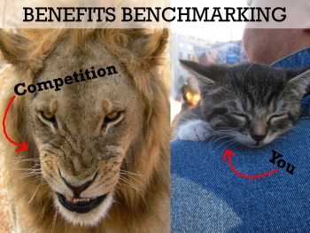 benefits benchmarking in transportation