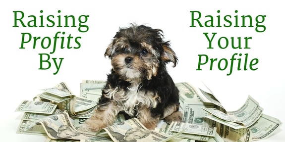 How to Raise Your Profits by Raising Your Profile