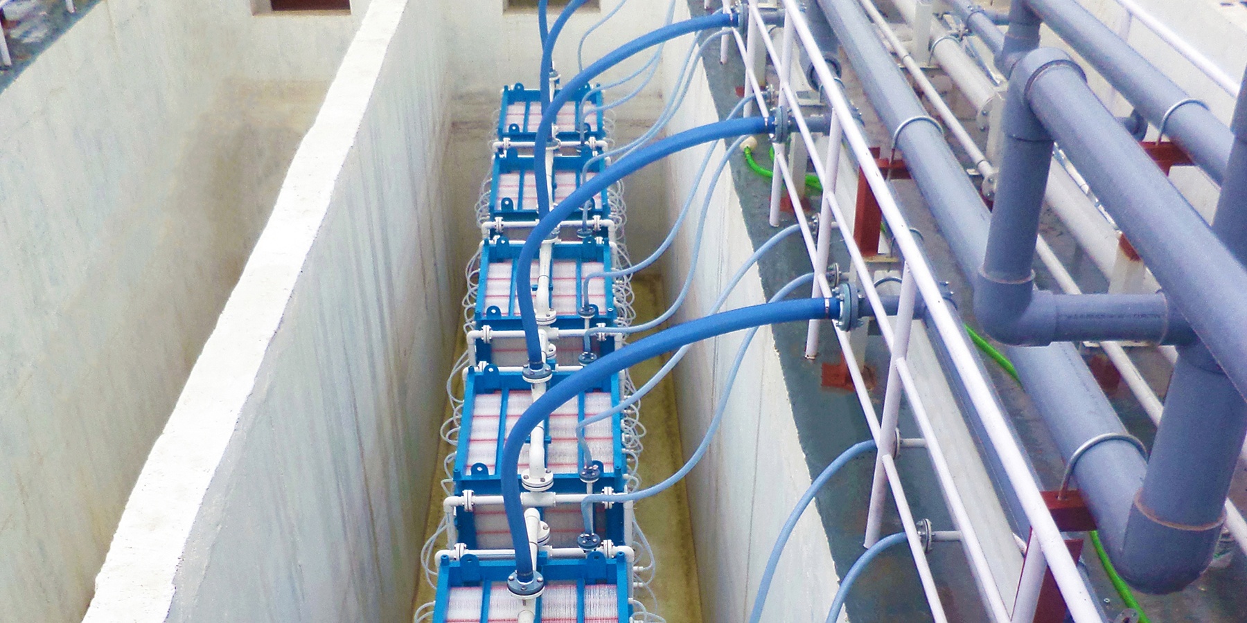 QUA EnviQ Blog Image-1