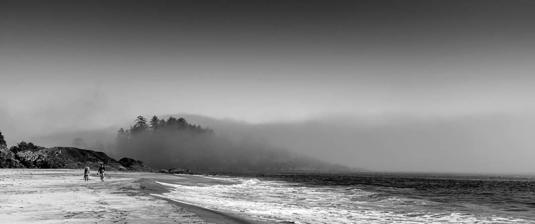 Nebel zieht langsam über einen Strand in Tofino