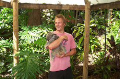 Koala_Reservat_Freiwilligenarbeit_Australien