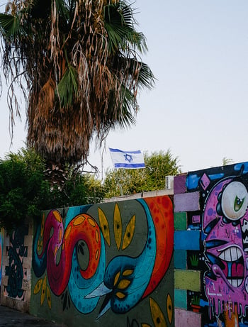 Bunt bemalte Mauer, dahinter große Palme und israelische Fahne