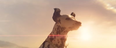 Never wind. Budweiser super Bowl. Budweiser converts Dalmatian ad views to Solar Energy.