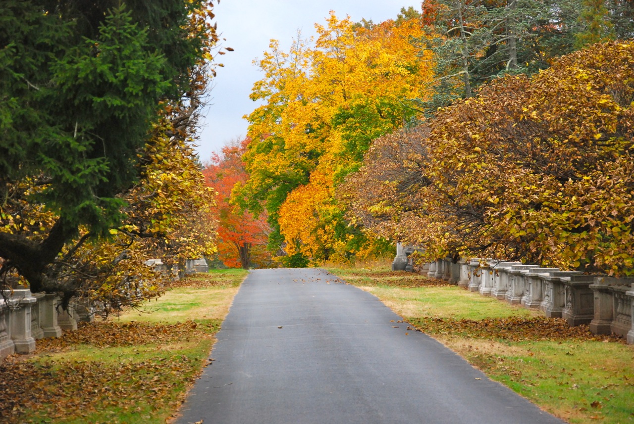 About Hillsborough Township, New Jersey Country Classics