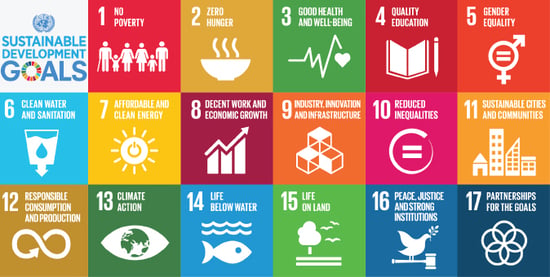La fotografia dell’Italia secondo i 17 Obiettivi di Sviluppo Sostenibile