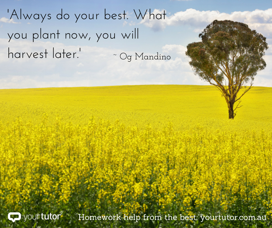 are you keeping the assignment question in mind?