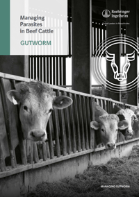 Gutworm Front Cover