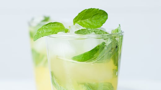 mojito